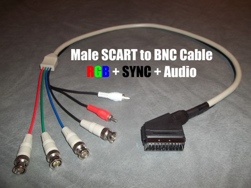 Wookieewin maschio rgb scart - maschio,